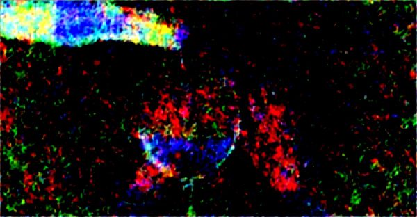 Renouez avec la nature au travail avec aura urbaine